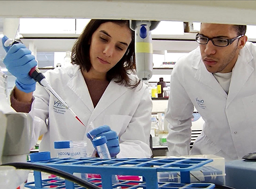 همکاری شرکت مرک و موسسه واکسن بین المللی (IVI) کره جنوبی